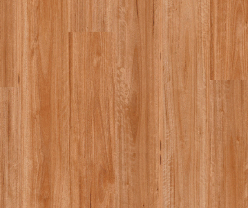 Titan Hybrid Blackbutt