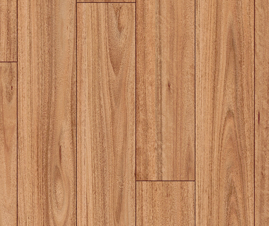 Clix XL Blackbutt