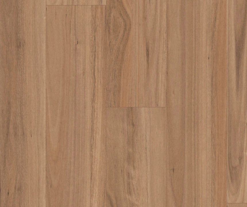 Titan Hybrid XXL Blackbutt Select