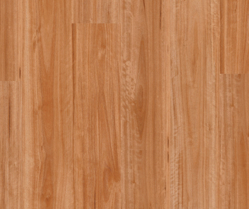 Titan Comfort Blackbutt