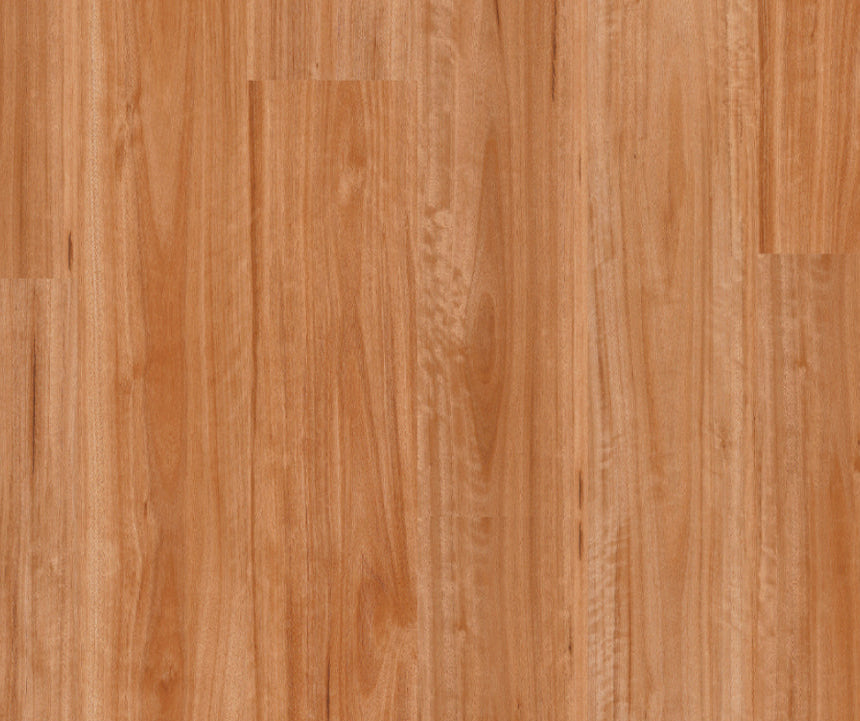 Titan Glue Blackbutt