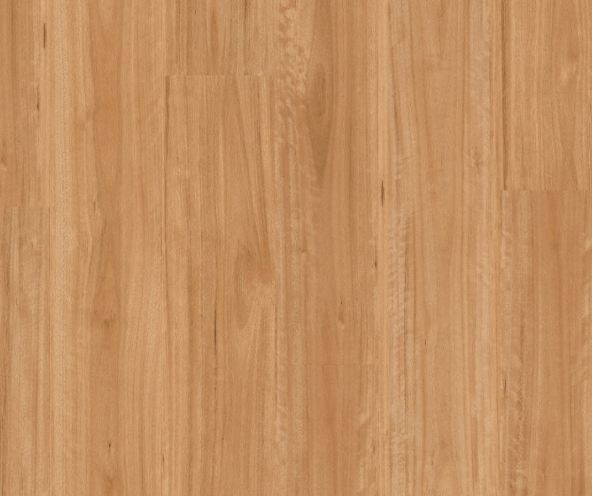 Titan Hybrid Bleached Blackbutt