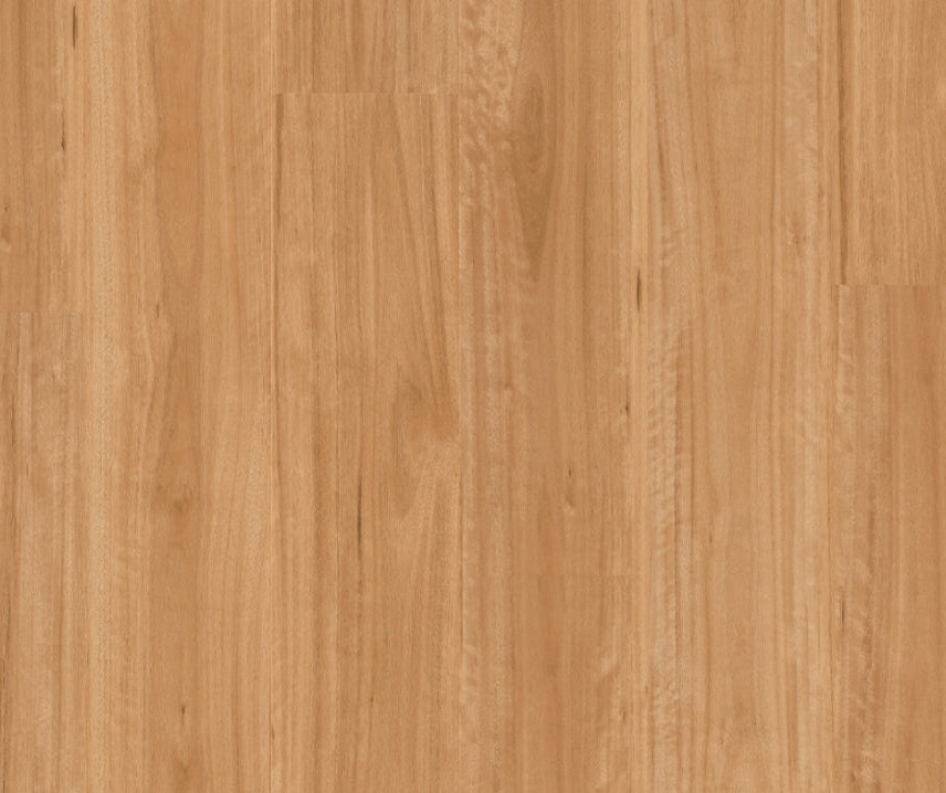 Titan Glue Bleached Blackbutt
