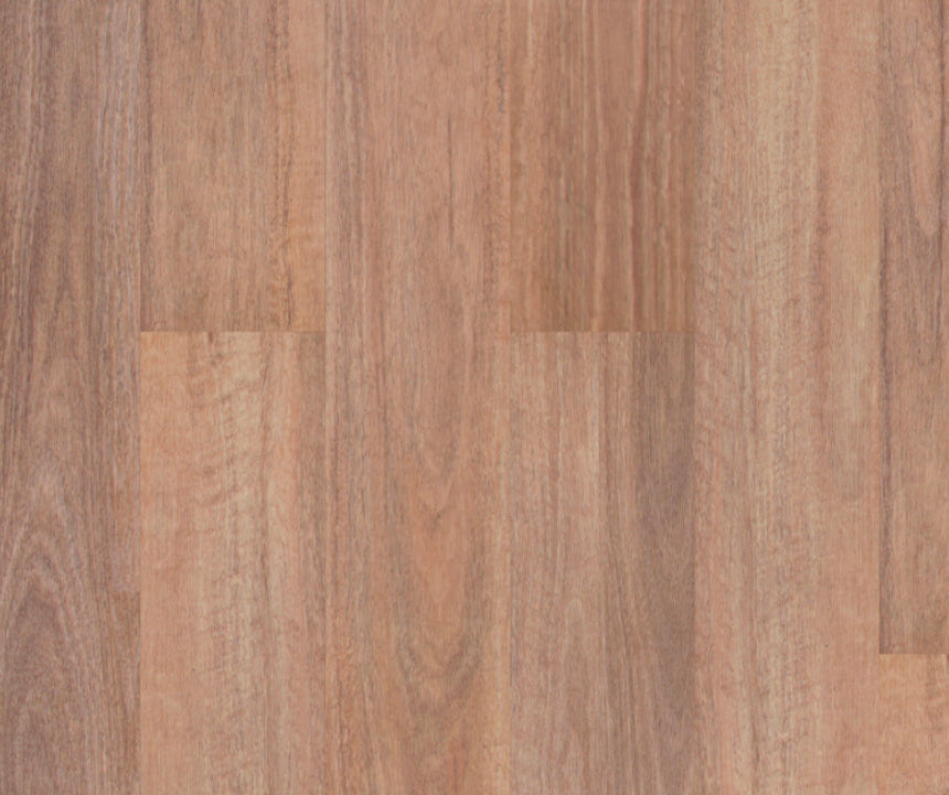 Titan Hybrid Home Natural Spotted Gum
