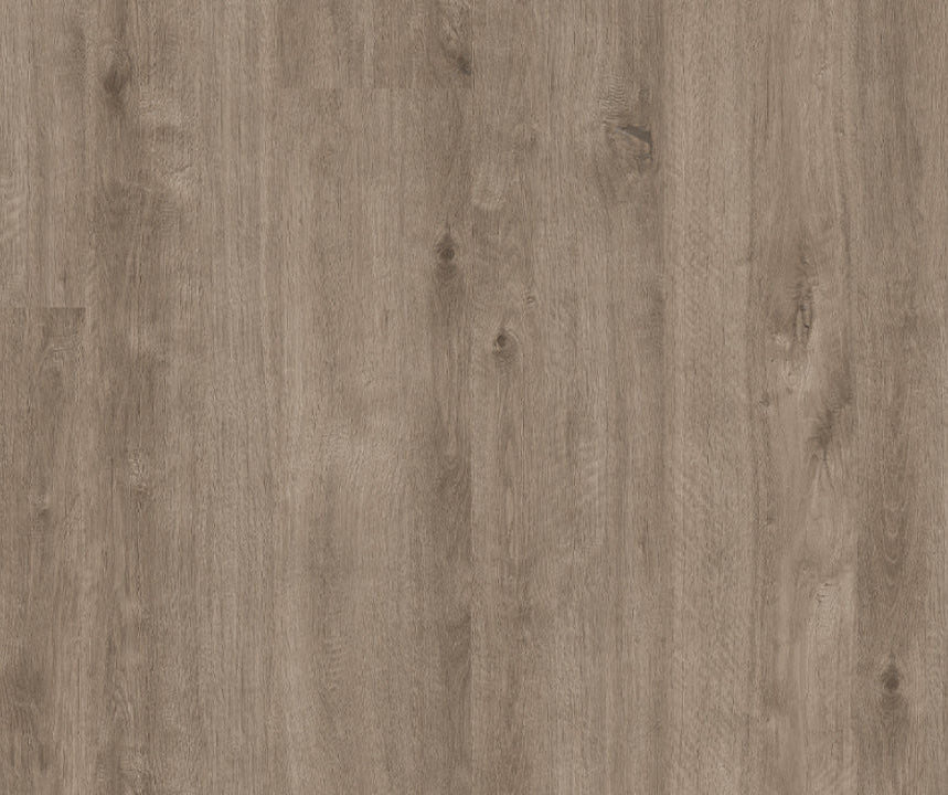Titan Glue Pale Driftwood