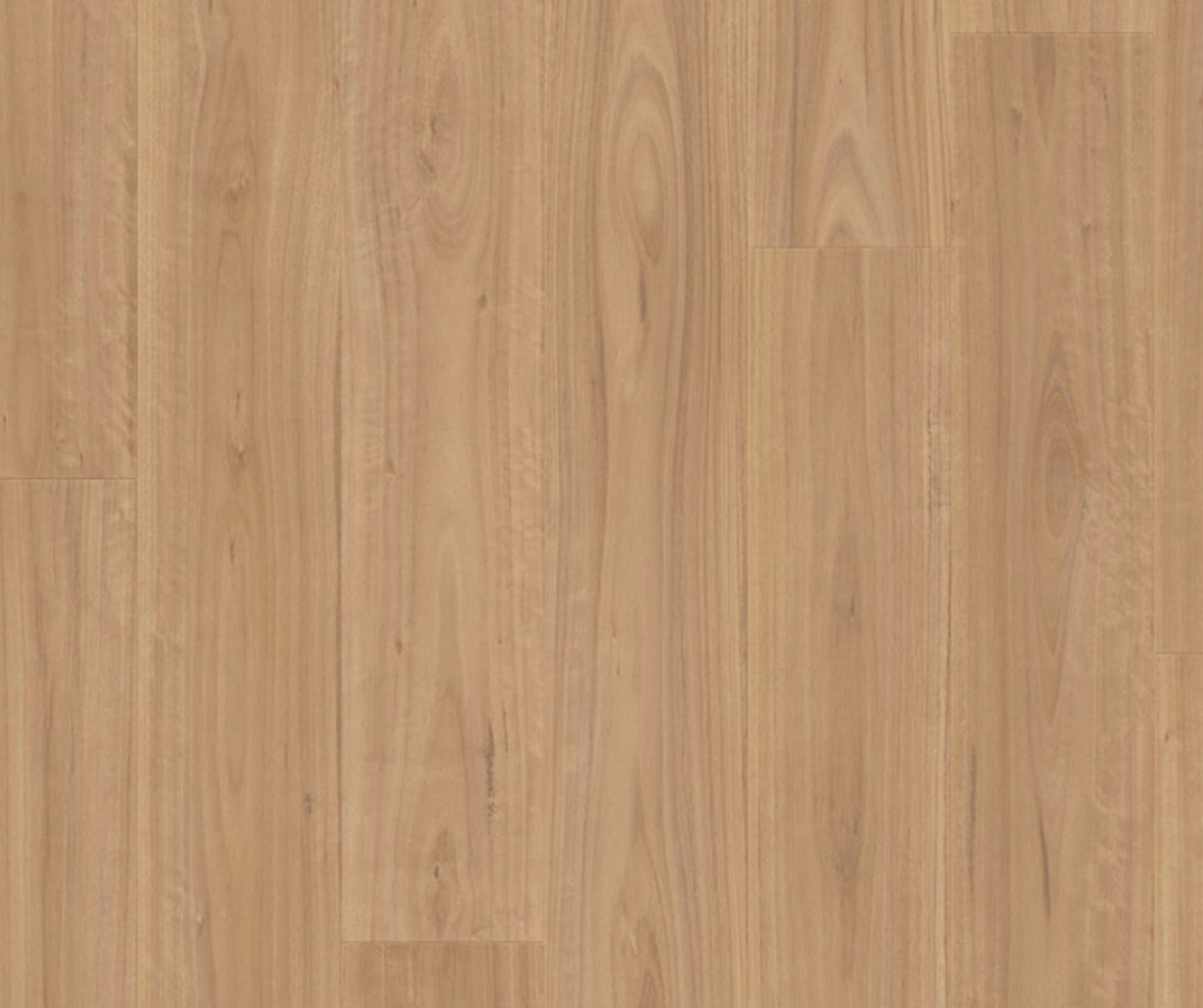Quick-Step Amato Blackbutt