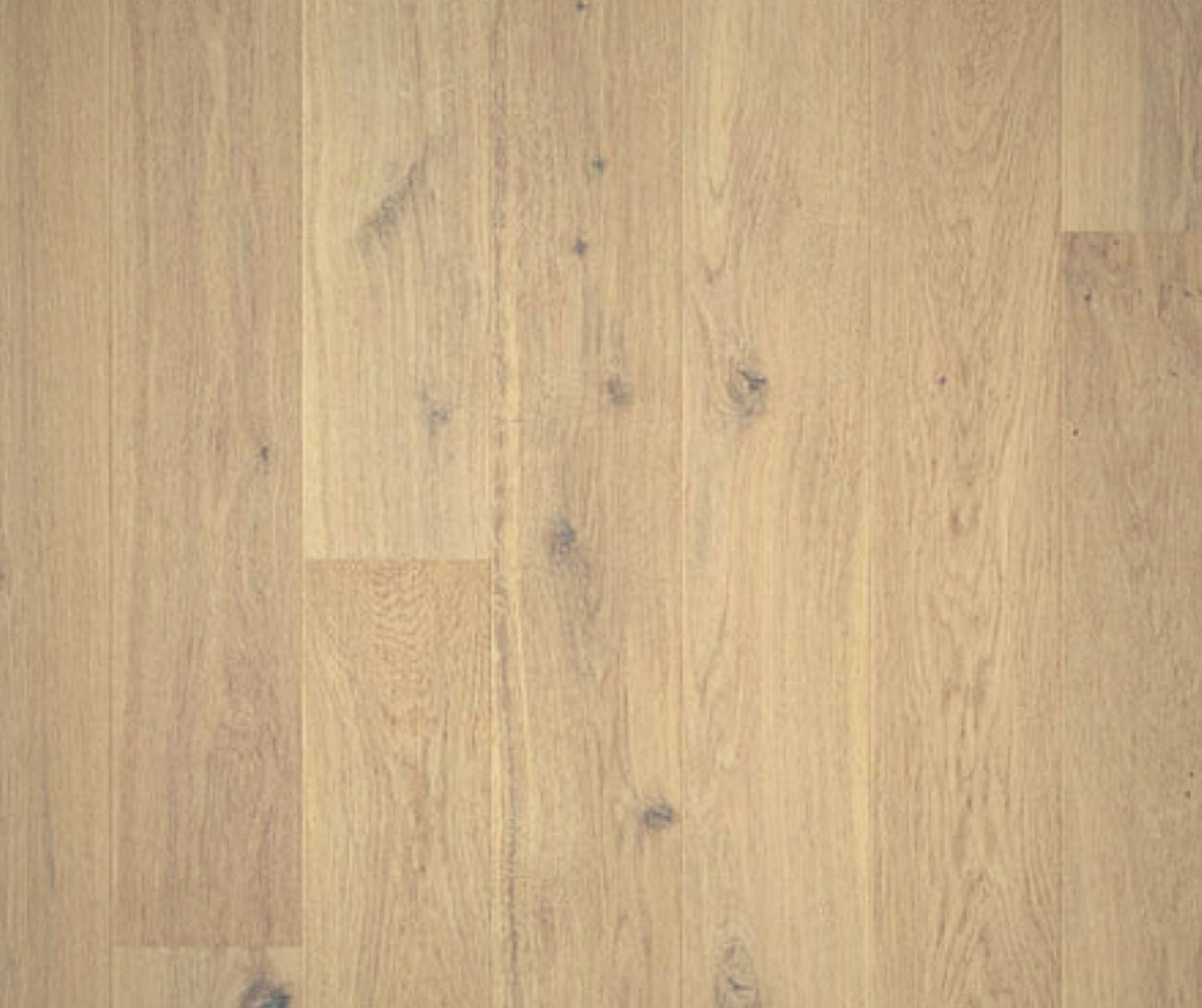 Quick-Step Amato Pure Oak Extra Matt