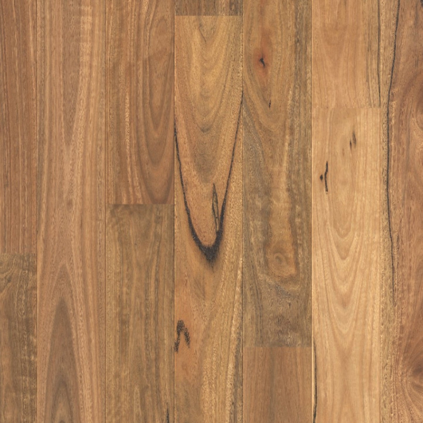 Quick-Step Amato Spotted Gum