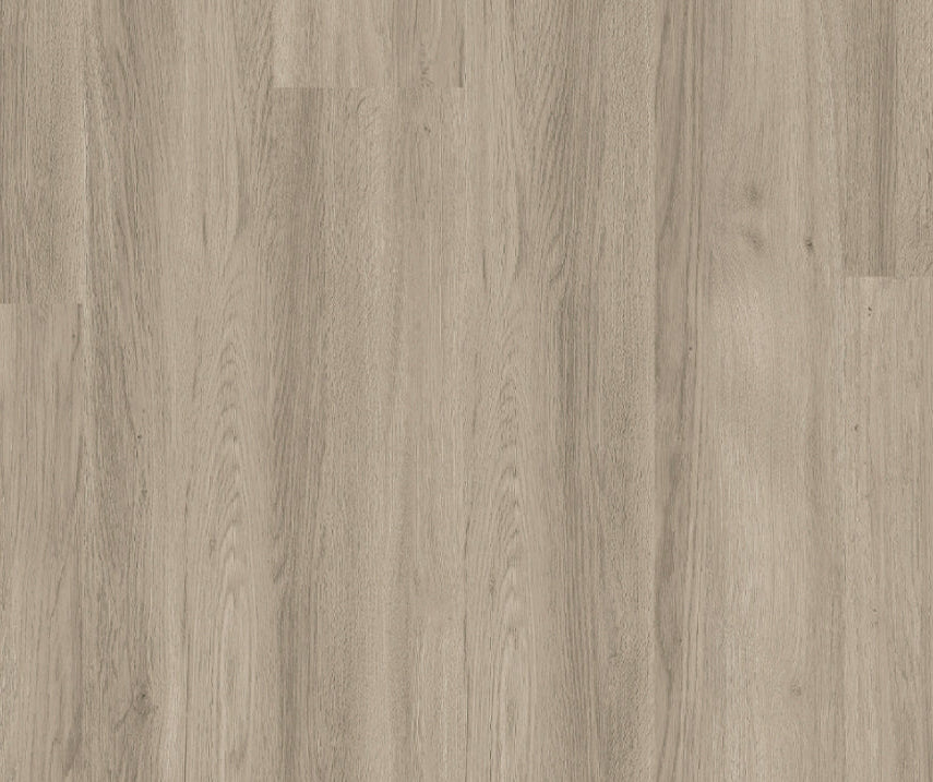 Titan Glue Silver Grey Ash