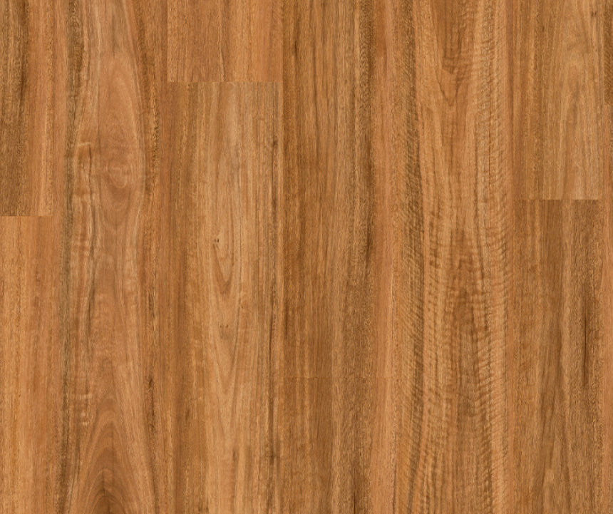 Titan Hybrid Spotted Gum