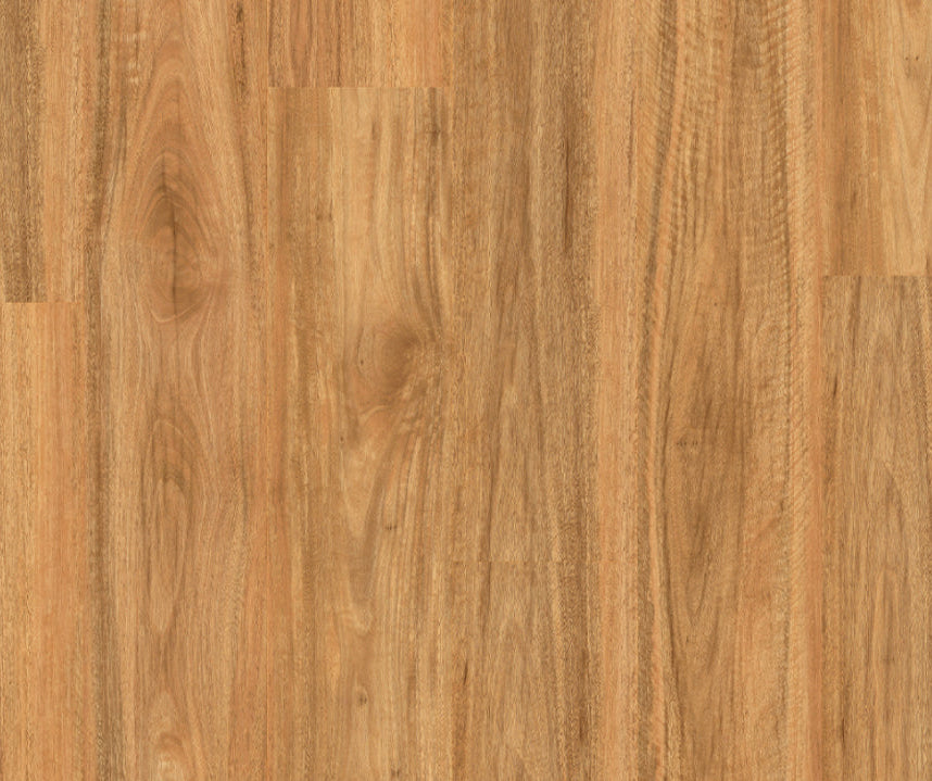 Titan Glue Stonewashed Spotted Gum