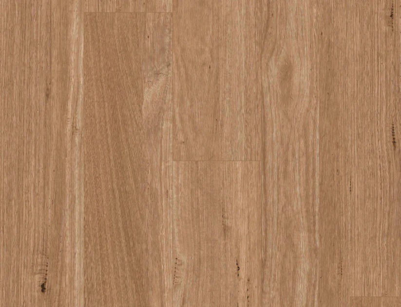 Titan Hybrid XXL Tasmanian Oak