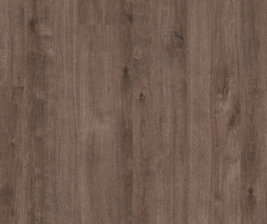 Titan Glue Wild Mountain Gum