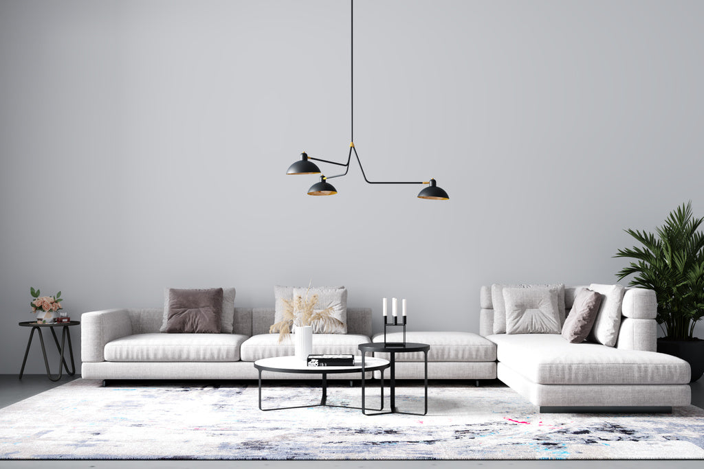 modern living room with carpet
