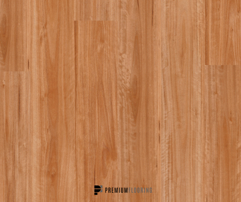 Titan Glue Blackbutt