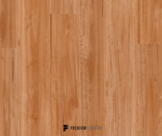 Titan Glue Blackbutt