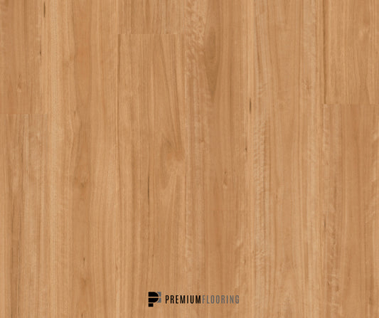 Titan Glue Bleached Blackbutt