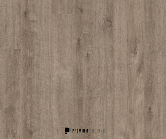 Titan Glue Pale Driftwood