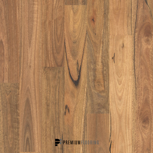 Quick-Step Amato Spotted Gum