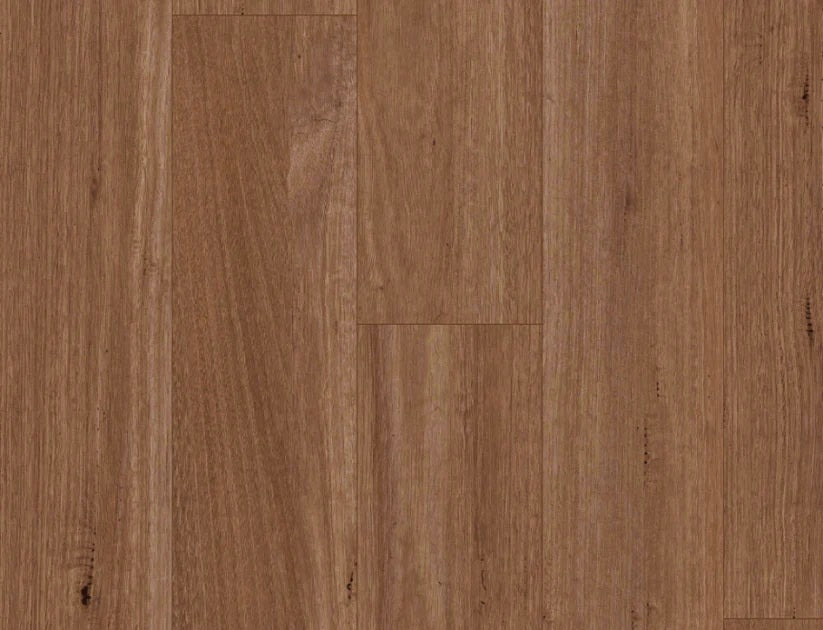Titan Hybrid XXL Spotted Gum