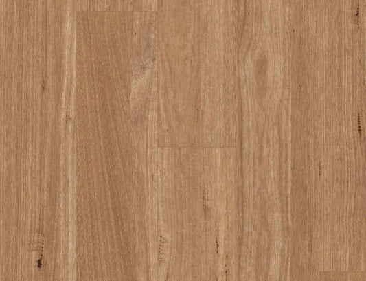 Titan Hybrid XXL Tasmanian Oak